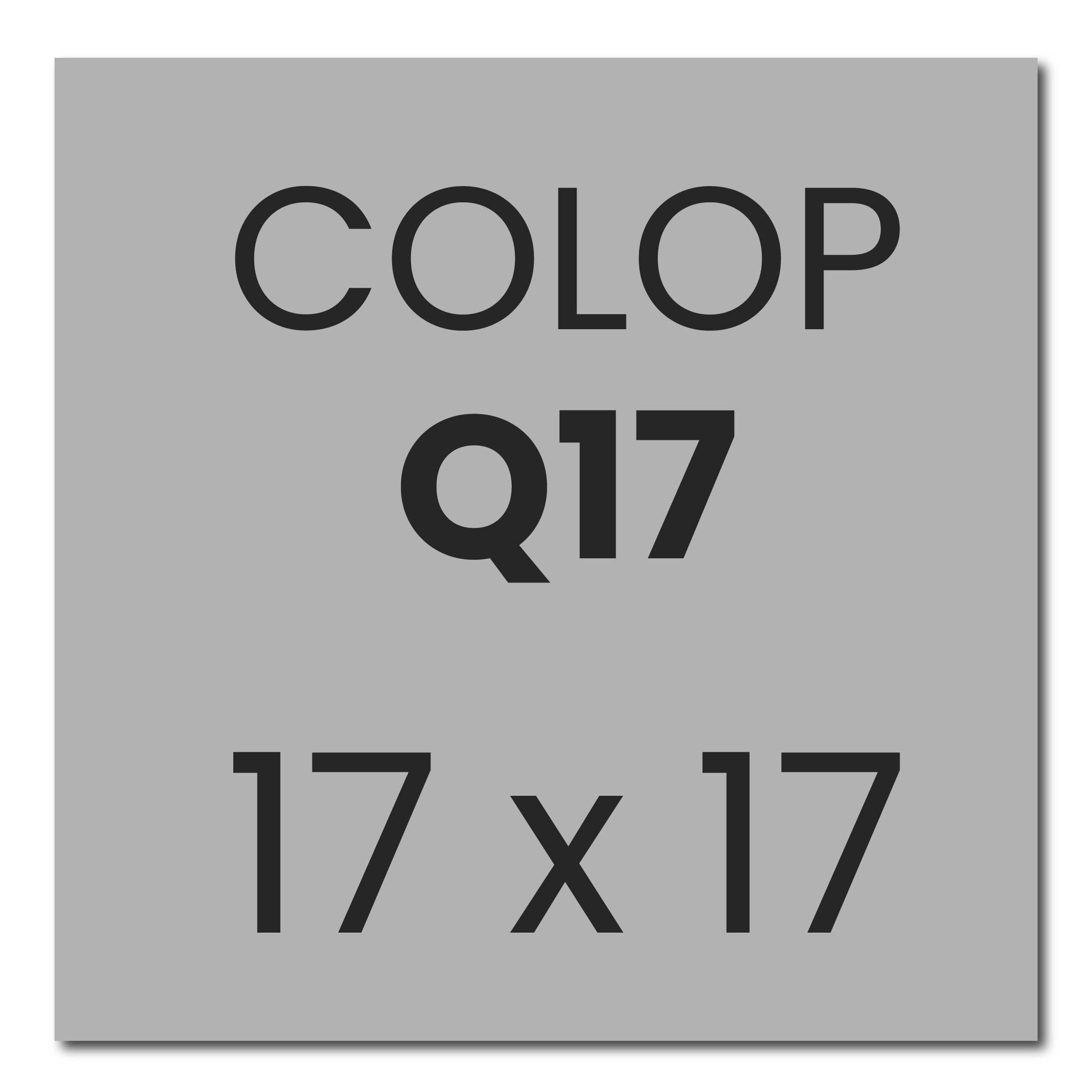 Stempelplaatje voor de Colop Printer Q17 | Bureaustempels.be